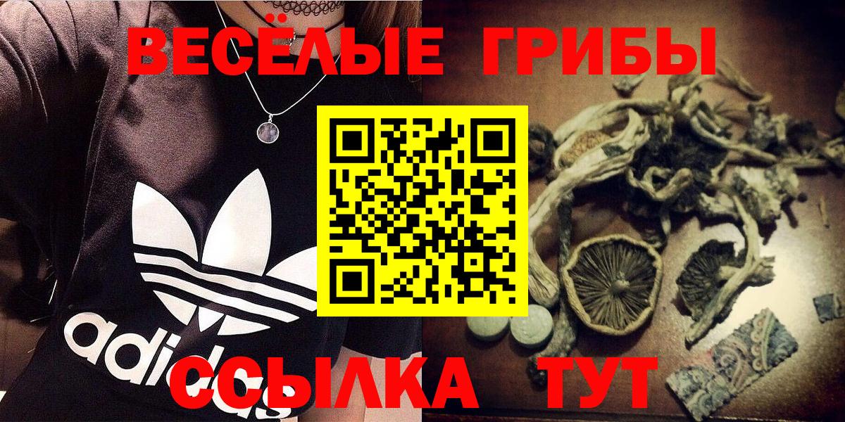 Галлюциногенные грибы Psilocybine cubensis Рубцовск